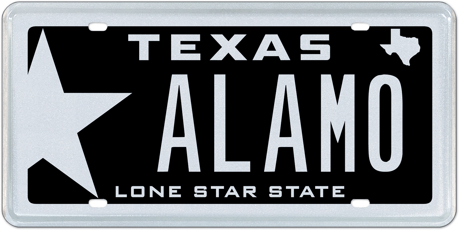 How To Get A Vehicle Auction License In Texas / How to get a Drivers